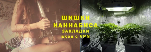 СК Россошь