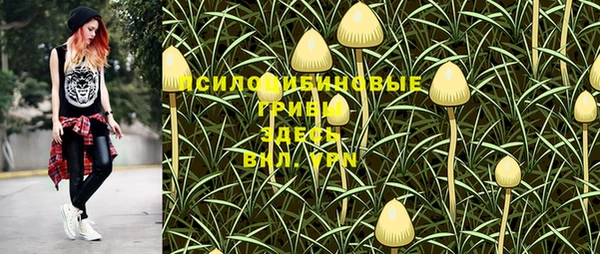 каннабис Арсеньев