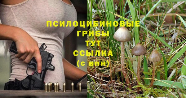 a pvp Армянск