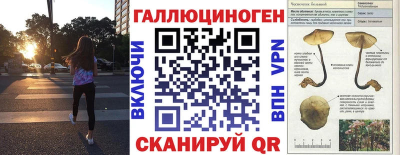 Галлюциногенные грибы Cubensis  цены   Горно-Алтайск 